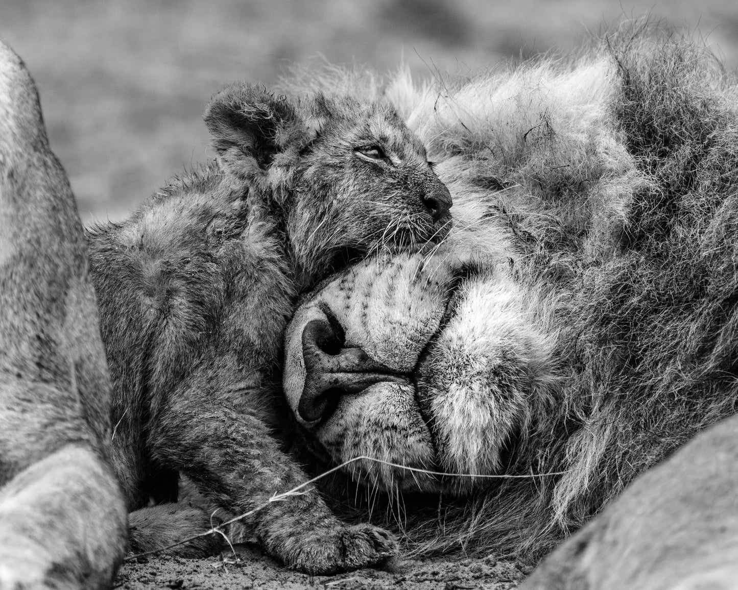 A Safe Place