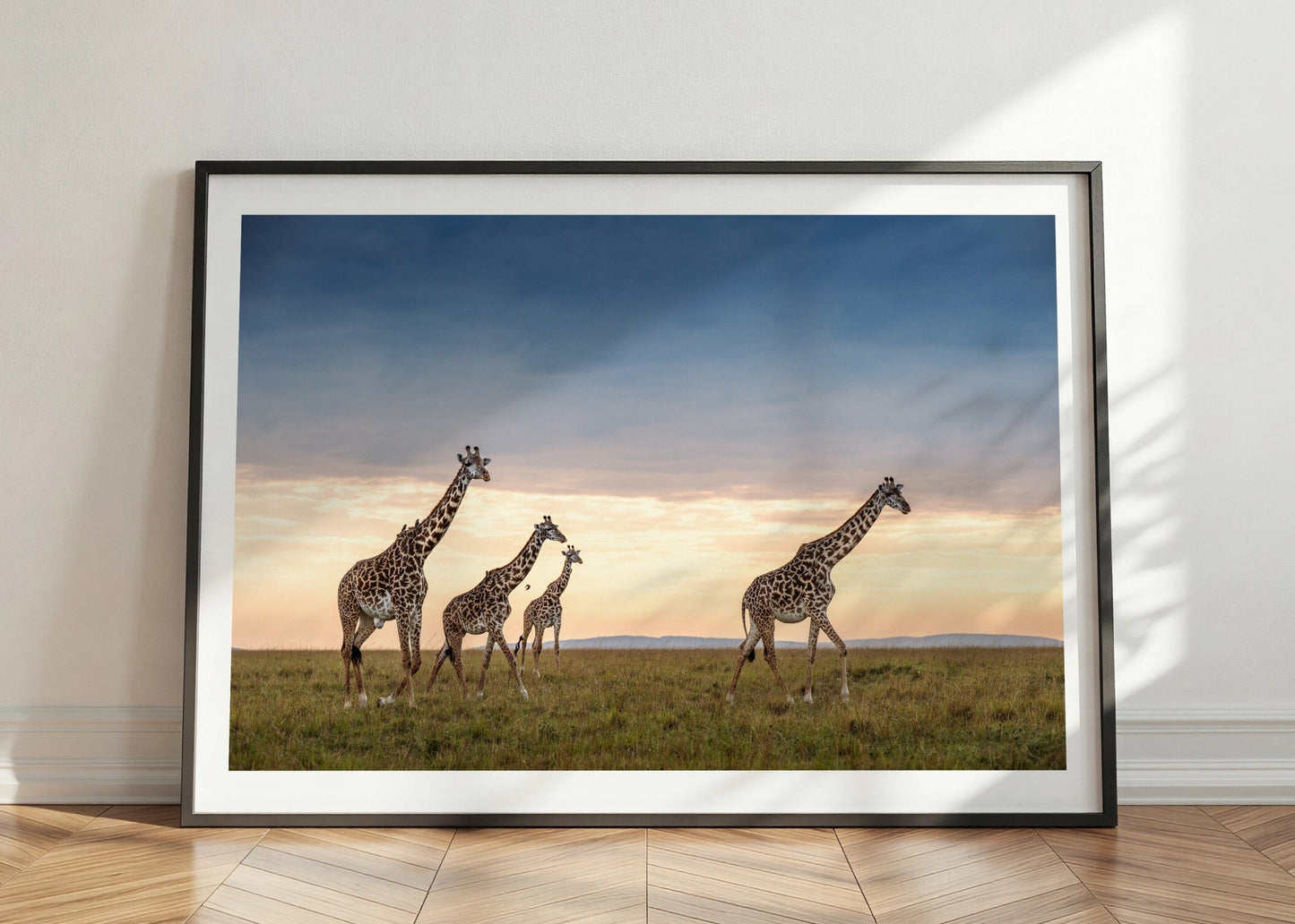Four Giraffes
