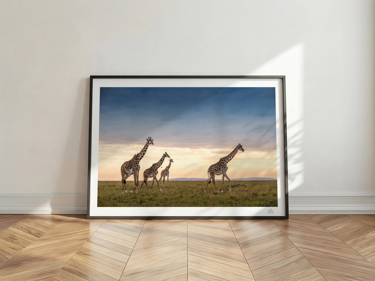 Four Giraffes